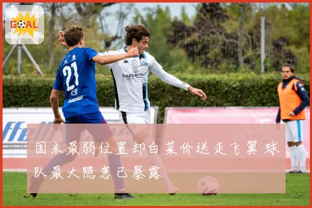 国米最弱位置却白菜价送走飞翼 球队最大隐患已暴露
