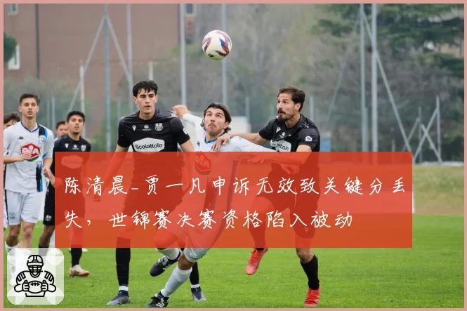 陈清晨_贾一凡申诉无效致关键分丢失，世锦赛决赛资格陷入被动