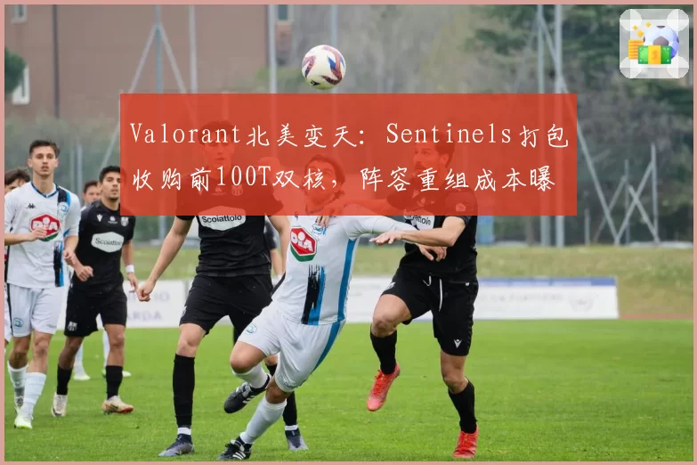 Valorant北美变天:Sentinels打包收购前100T双核,阵容重组成本曝光
