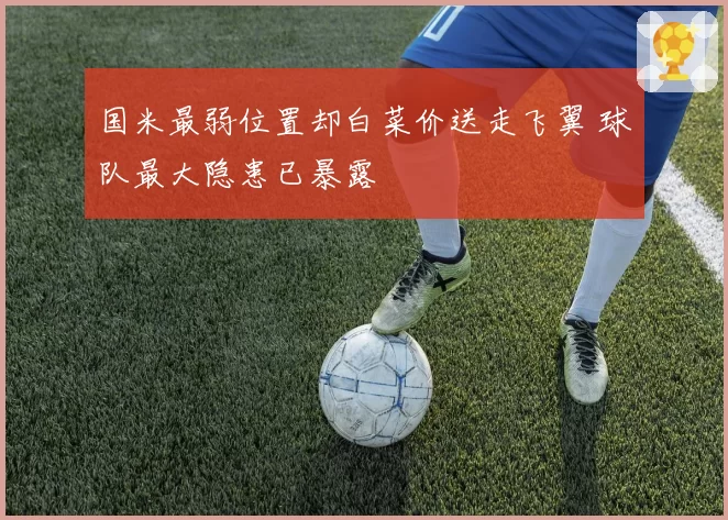 国米最弱位置却白菜价送走飞翼 球队最大隐患已暴露
